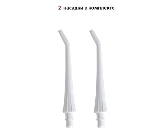  Ирригатор Pioneer TI-1007 