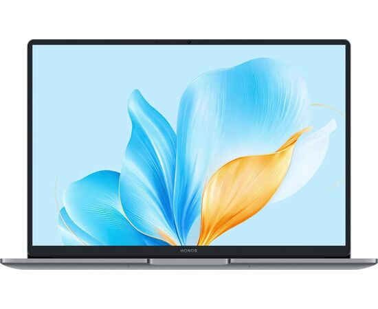  Ноутбук Honor MagicBook X14 2025 FRG-X (5301ALXL) Space Gray 