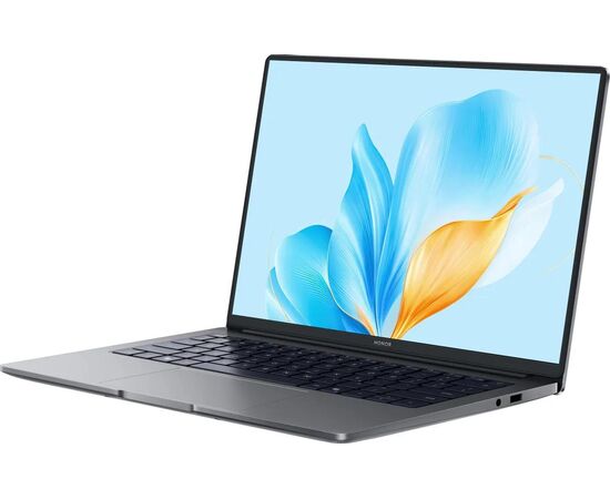  Ноутбук Honor MagicBook X14 2025 FRG-X (5301ALXL) Space Gray 